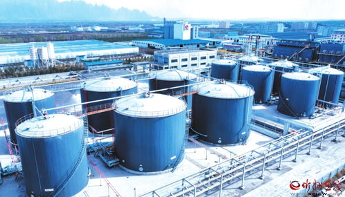 原平经济技术开发区 引领新星炭黑产业升级的技术咨询探索